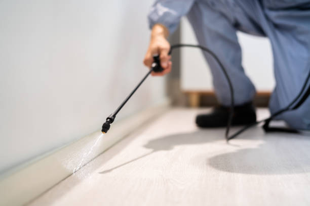 Licensed Termite Control service in Silver Spring, MD - Show Me Pest Control