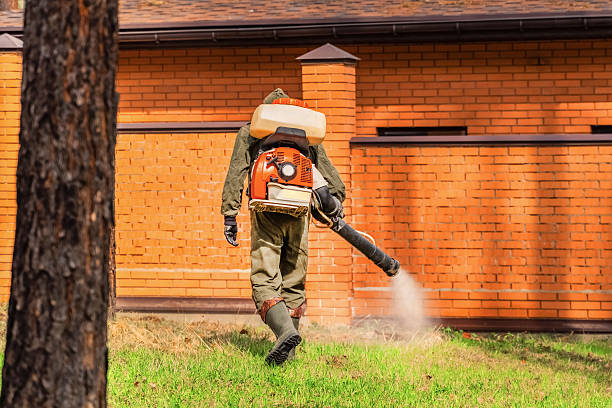 Top rated local Mosquito Control specialists in Silver Spring, MD